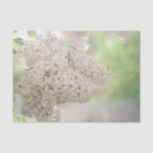 薄紫フラワーソフトホワイトカントリー植物学