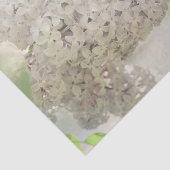 薄紫フラワーソフトホワイトカントリー植物学 薄葉紙 (詳細)