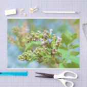 薄紫フラワー – Primus Inter Pares 薄葉紙 (クラフト)