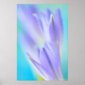 薄紫フレア ポスター (正面)