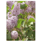 薄紫ブッシュビューティフルパープル春の花 クリップボード (裏面)