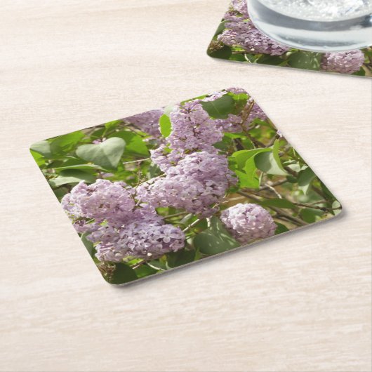 薄紫ブッシュビューティフルパープル春の花 スクエアペーパーコースター (アングル)