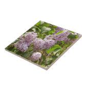 薄紫ブッシュビューティフルパープル春の花 タイル (側面)