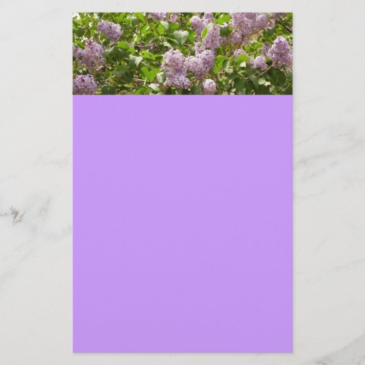 薄紫ブッシュビューティフルパープル春の花 便箋 (正面)