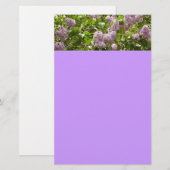 薄紫ブッシュビューティフルパープル春の花 便箋 (正面/裏面)