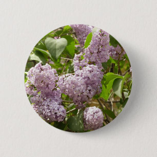 薄紫ブッシュビューティフルパープル春の花 缶バッジ