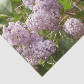 薄紫ブッシュビューティフルパープル春の花 薄葉紙