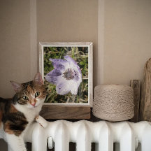 薄紫ブルーアネモーンコロナリアワイルドフラワー絵画ズ