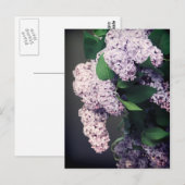 薄紫ブーケとヴィネット ポストカード (正面/裏面)