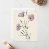 薄紫マリポサバイマリオヴォーウォルコット ノートカード (正面/裏面インサイチュ)