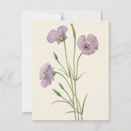 薄紫マリポサバイマリオヴォーウォルコット ノートカード