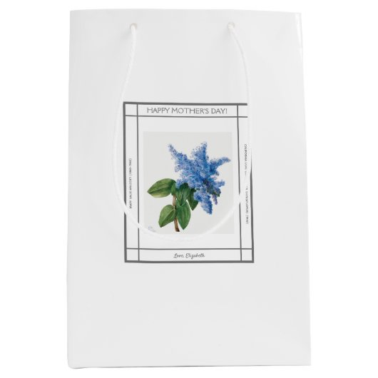 薄紫ヴィンテージマザーズデイ抱き枕 ミディアムペーパーバッグ (正面)