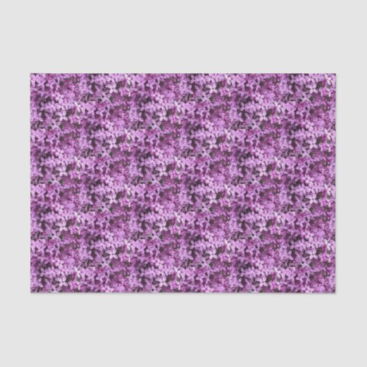 薄紫写真 |並べて半分のドロップ | 薄葉紙 (正面)