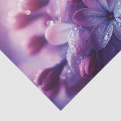 薄紫分離 薄葉紙 (詳細)