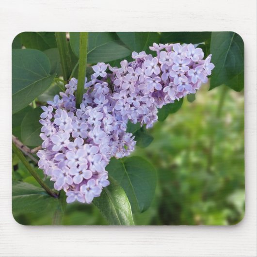 薄紫幕 マウスパッド (正面)