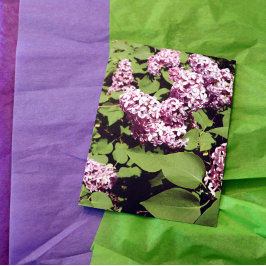 薄紫愛 ポストカード