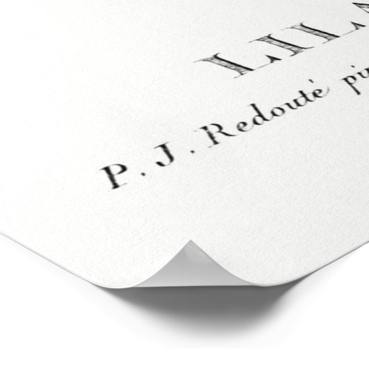 薄紫植物 ポスター (角)