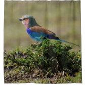 薄紫焼きローラーシャワーカーテン シャワーカーテン (正面)