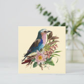 薄紫焼きローラーバード熱帯協定。 招待状 (スタンド正面)