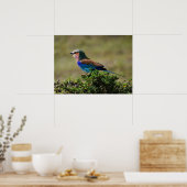 薄紫焼きローラーバード ポスター (キッチン)