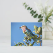 薄紫焼きローラ葉書 ポストカード (スタンド正面)