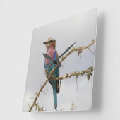 薄紫焼きローラ鳥の時計 スクエア壁時計 (傾斜)