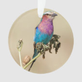 薄紫焼きローラ オーナメント (正面)