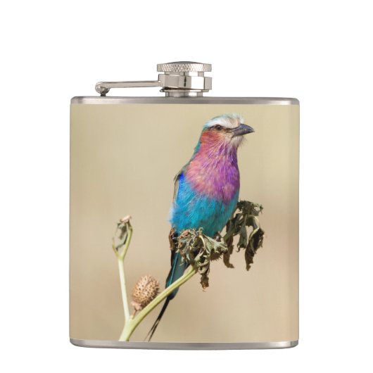 薄紫焼きローラ フラスク (正面)