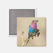 薄紫焼きローラ マグネット (正面/裏面)