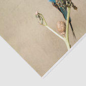 薄紫焼きローラ 薄葉紙 (詳細)