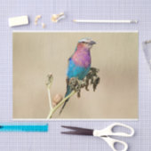 薄紫焼きローラ 薄葉紙 (クラフト)