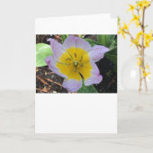 薄紫疑問に思チューリップ、カード カード (黄色い花)