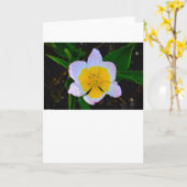 薄紫疑問に思チューリップ、カード カード (黄色い花)