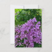 薄紫結婚紫ラエレガントベンダーフローラ 招待状 (裏面)