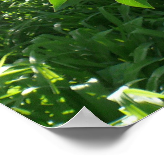 薄紫美しい ポスター (角)