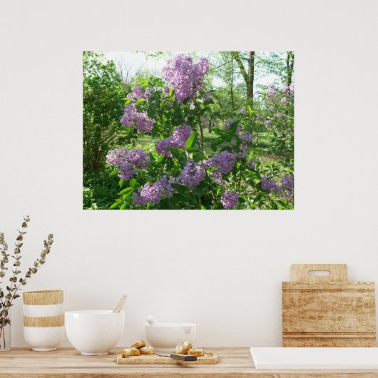 薄紫美しい ポスター (キッチン)