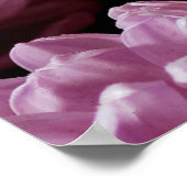 薄紫色のアスターの花が光ったピンクの花束 ポスター (角)