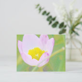 薄紫色のチューリップ花 ポストカード (スタンド正面)