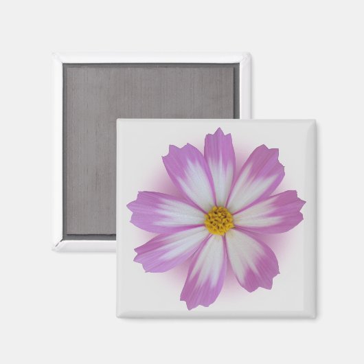 薄紫色の花 マグネット (正面/裏面)