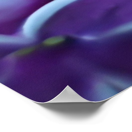 薄紫色 ポスター (角)