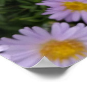 薄紫色 ポスター (角)