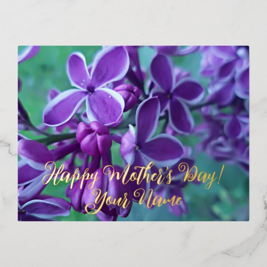 薄紫色 箔シーズンポストカード (正面)