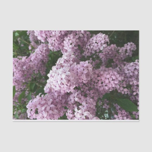 薄紫花ティッシュペーパー 薄葉紙 (正面)