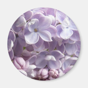 薄紫花マグネット マグネット
