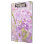 薄紫花霧 クリップボード (左)