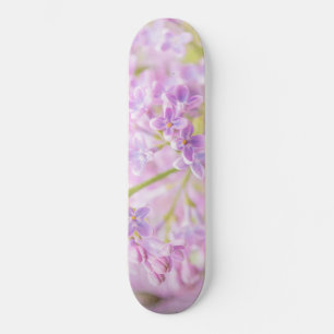薄紫花霧 スケートボード