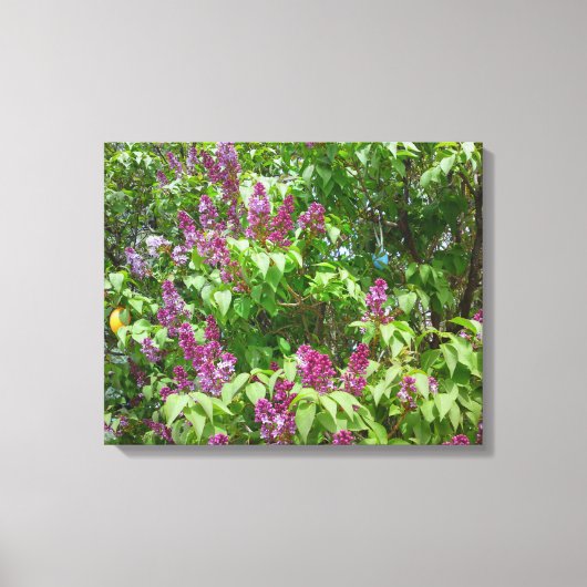 薄紫 キャンバスプリント (正面)