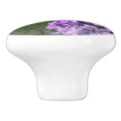 薄紫 セラミックノブ (側面)