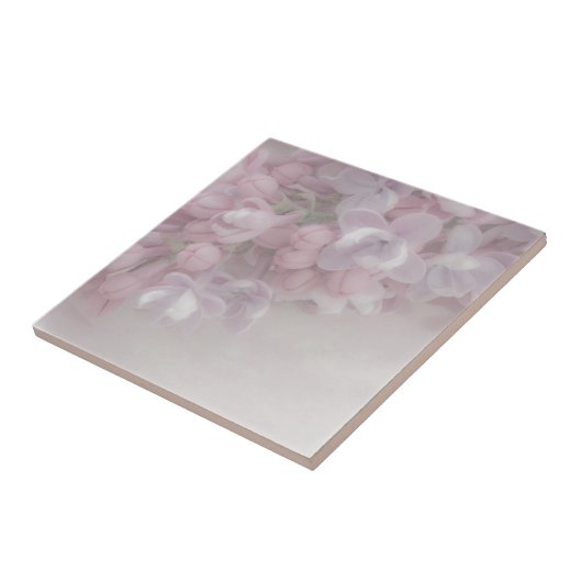 薄紫 タイル (側面)