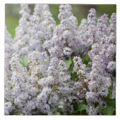 薄紫 タイル (正面)